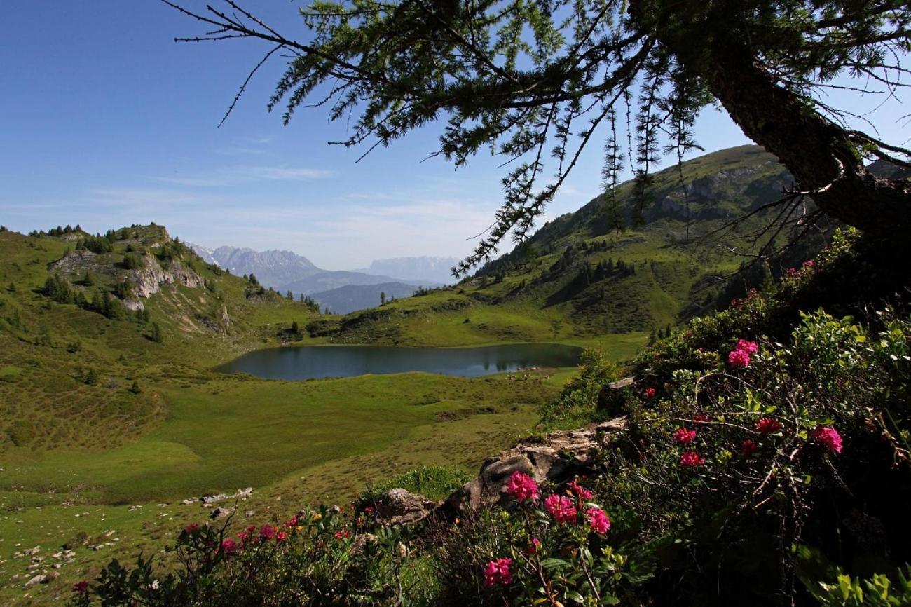 Naturhotel Huettenwirt Im Grossarltal Hüttschlag Eksteriør bilde